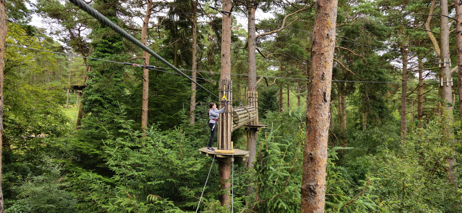 Go Ape Haldon